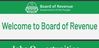 Board of Revenue Punjab Jobs Online Apply before last date