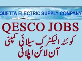 Quetta Electric Supply Company Jobs 2024 QESCO Online Apply