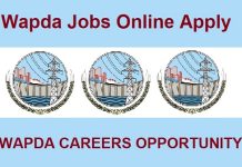 WAPDA Jobs 2024 Online Apply Punjab