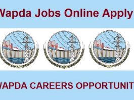 WAPDA Jobs 2024 Online Apply Punjab