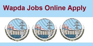 WAPDA Jobs 2024 Online Apply Punjab