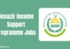 Benazir Income Support Programme Jobs