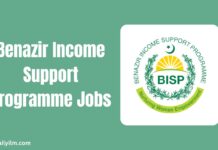 Benazir Income Support Programme Jobs