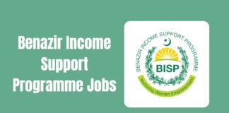 Benazir Income Support Programme Jobs