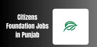 Citizens Foundation Jobs in Punjab