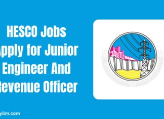 HESCO Jobs Apply for Junior Engineer And Revenue Officer