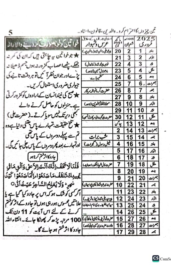 Jantri 2025 in Urdu and Punjabi February Month