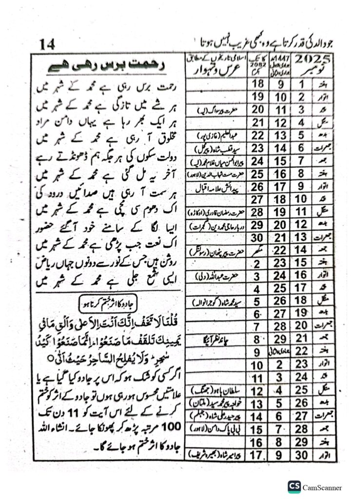 Jantri 2025 in Urdu and Punjabi November Month