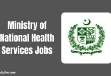 Ministry of National Health Services Jobs