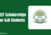 PEEF Scholarships for AJK Students