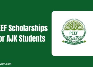 PEEF Scholarships for AJK Students