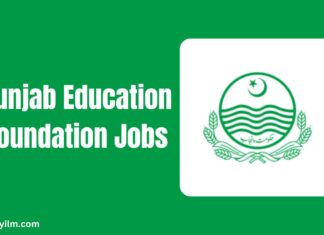 PEF Punjab Education Foundation Jobs