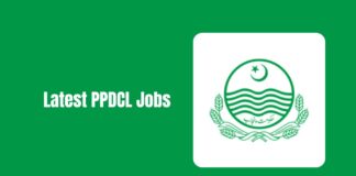 PPDCL Jobs 2025