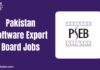 Pakistan Software Export Board Jobs