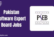 Pakistan Software Export Board Jobs