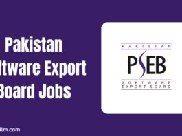 Pakistan Software Export Board Jobs