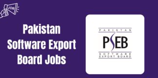 Pakistan Software Export Board Jobs