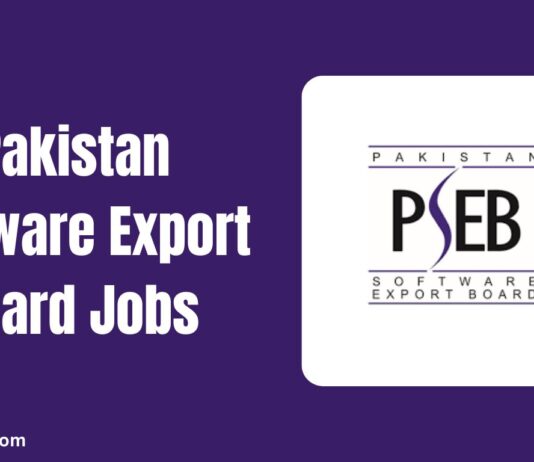 Pakistan Software Export Board Jobs