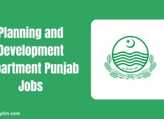 Planning and Development Department Punjab Jobs