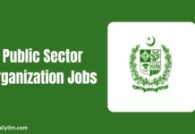 Public Sector Organization Jobs