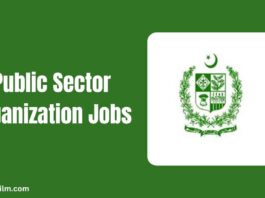 Public Sector Organization Jobs