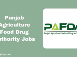 Punjab Agriculture Food Drug Authority Jobs