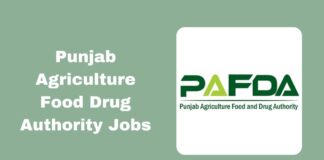 Punjab Agriculture Food Drug Authority Jobs