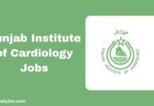 Punjab Institute of Cardiology (PIC) Jobs