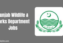 Punjab Wildlife & Parks Department Jobs