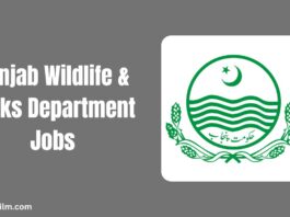 Punjab Wildlife & Parks Department Jobs