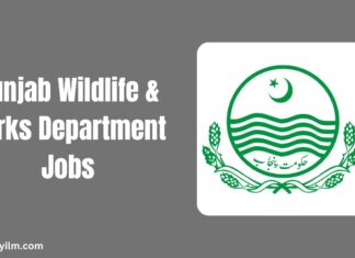 Punjab Wildlife & Parks Department Jobs