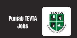 Punjab TEVTA Jobs